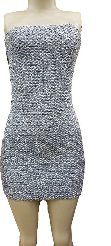 WOMEN'S SEQUIN TUBE MINI DRESS WITH ZIPPER BACK